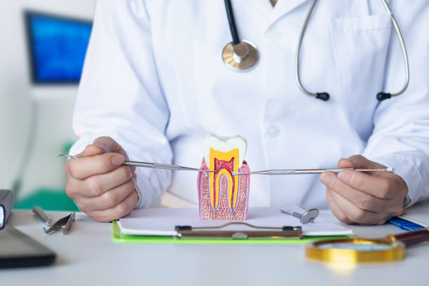 , WA Emergency Dental Service Company